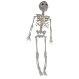 Ahuuen Figura de acción de esqueleto | Modelo de esqueleto humano con articulaciones móviles posibles | Cráneo realista, cuerpo completo, hueso, juguetes, regalos, decoración de fiesta para interiores
