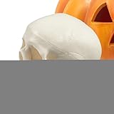 Modelo de calavera humana, cabeza de esqueleto de estudio realista, pantalla educativa, artesanía de decoración de Halloween, ideal para enseñanza en el aula, aprendizaje, estudio, proyectos