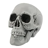 Calaveras de Halloween Realista Buscando pequeñas Cabezas de cráneos Miedo de Halloween cráneo Humano Cabeza del cráneo de plástico para la Fiesta de Halloween casa Foto Prop decoración (XL)