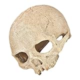 HOUDERCO Decoración De Calavera De Resina Crestado Cabeza De Esqueleto De Halloween Decoración De Peces Cráneo del Tanque De Reptiles Piel De Cráneo De Gecko Plantas De Acuario Lagarto Geco
