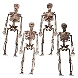 ibasenice 20 Piezas De Huesos Humanos Figura De Calavera Decoración De Esqueleto Esqueleto Humano Falso Mini Esqueletos Para Manualidades Accesorios De Casa Embrujada Miniaturas De