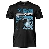 CRAZY FOR ROCK Linkin Park - Camiseta oficial de Meteora, unisex, de algodón, para adultos y jóvenes, Negro , L
