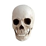 Réplica de resina médica de tamaño real de cráneo hueso hueso, modelo de anatomía de resina blanca de calavera, herramienta de enseñanza de alta precisión para decoración de Halloween