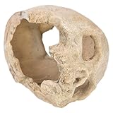 Yardwe Decoración De Calavera De Resina Adornos De Acuario con Cresta De Calavera Decoraciones De Acuario con Piel De Calavera Rocas De Acuario con Calavera De Reptil Cueva