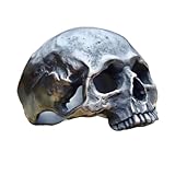 CHABER Anillo De Calavera De Color Plateado Único para Hombre, Anillos De Banda para Motociclista Punk, Joyería De Moda, Regalos para Él