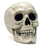 JOYIN Calavera humana de tamaño real para Halloween, decoración de esqueleto para interiores y exteriores, para trucos o tratos. Cabeza humana de plástico realista, cabeza de esqueleto de hueso,