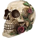 READAEER Réplica de Esqueleto de tamaño Real Realista de Calavera Humana, Modelo de Hueso (Rosa)