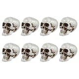 Abaodam 8 piezas de accesorios de miedo de Halloween, calaveras pequeñas, modelo de calavera falsa, decoración de calaveras pequeñas, decoración de calaveras realistas, juguetes de calavera para