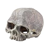 Angoily Molde De Calavera Humana Realista para Pecera Decoración para Mascotas Acuario Reptil Terrario Refugio para Arañas Color Aleatorio