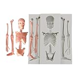 Molde De Silicona Esqueleto, Molde De Silicona Con Forma De Calavera Esqueleto De Halloween, Molde De Esqueleto De Halloween Moldes De Chocolate De Hueso De Esqueleto, Molde De Silicona De Halloween