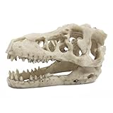NUZAMAS Adorno de esqueleto de calavera de dinosaurio de resina artificial con forma de calavera de dinosaurio para acuario, decoración de cuevas, escondite para peces, tortugas
