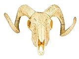 Boland Cráneo de Animales, 28 x 36 cm, Color Amarillo/Blanco, (54319)