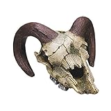 Nobby Adornos de Acuario de Calavera de Carnero, 17,5 x 16 x 9,5 cm