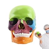 Modelos De Cráneo De Tamaño Natural: Réplica De Anatomía Humana, Cabeza Desmontable De 15 Partes Con Estructura Ósea Detallada Y Marcas Precisas | Modelo De Estudio Profesional Para La Enseñanza De La
