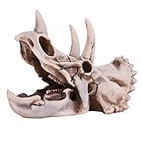 Triceratops de resina, diseño de calavera, esqueleto simulado, para casa, oficina, expositor decorativo, caja de artesanía