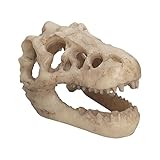 Stronrive Decoración de pecera con Calavera, decoración de Acuario con Calavera,Adornos realistas de Dinosaurios para Acuario, Adorno de Reptil de Cueva de Calavera - Decoración versátil de Esqueleto