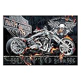 DCIDBEI Square Diamond Painting Cuadrado 40x50 cm Pintura de Diamante Calavera Moto Lienzo Diamantes 5D Calaveras Cuadros de Diamantes Calaveras Puzzle 5D Blanco y Negro Calaveras Moto Puzzle Adultos