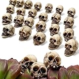 20 Piezas de Mini Calaveras Decorativas, pequeños Juguetes de Calavera realistas de Resina, Figura de Calavera, decoración de Broma, decoración de Fiesta, Accesorios de Bricolaje, Adornos de