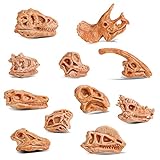 cobee Mini Esqueleto de Cabeza de Dinosaurio, 11 Piezas de Huesos de Dinosaurio Figuras fósiles de Dinosaurio para Caja de Arena Figuras de Cabeza de Dinosaurio, Calavera de Dinosaurio
