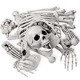 Hallween Huesos de esqueleto, 24 piezas de huesos y cráneos de tamaño natural para decoración de Halloween o decoración de cementerio espeluznante (24 unidades)