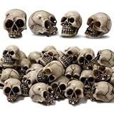 20 Piezas Mini Decoración De Calaveras,Pequeñas Mini Calaveras Decoración,Mini Cabezas De Miedo,Mini Calaveras De Plástico,Cabeza De Calavera,para Halloween,Fiesta Temática y Carnaval.