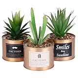 BELLE VOUS Pack de 3 Mini Plantas Artificiales Decorativas en Maceta de Metal Cobre 10 x 7,5 cm - Planta Artificial Suculentas Cactus - Macetas Decorativas Hogar y Escritorio Oficina