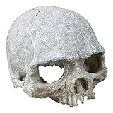 ZYMY Esqueleto decorativo de resina con agujero de esqueleto artificial para acuario, decoración de cueva, paisaje, casa de reptiles (calavera humana artificial)