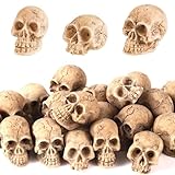 20uds Mini Cabezas Esqueleto, Cabezas Calavera en Miniatura Resina Mini Cabeza Calavera Resina Divertidos Juguetes Broma Adecuados para Suministros Decoración Juegos rol Halloween