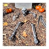 com-four® Juego de Huesos de 5 Piezas - Decoración Premium de Halloween - Esqueleto Humano Parcial con Anclaje al Suelo - Decoración de Huesos Artificiales para el jardín