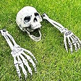 Decoración de Esqueletos para Halloween - Set de 3 Piezas con Calavera de Esqueleto y Brazos de Esqueleto de Plástico - Decoración de Halloween con Estacas de Esqueletos para Jardín