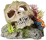 Nobby Cráneo con Plantas Ornamentos para Acuario, 13,5 x 13,5 x 10,5 cm